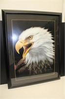 1994 Framed American Bald Eagle By Dave Merrick 33