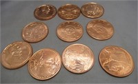 (10) One Ounce .999 Copper Rounds.