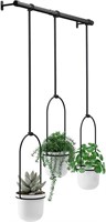 Umbra Triflora Hanging Planter, for Succulents,