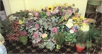 Vast Assortment of Faux Florals & Greenery