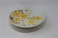 Lot of 8 Plastic Dinner Plates w/ daisies