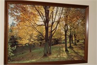 Framed poster w tree scene 26 x 39