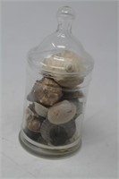 Jar of Seashells