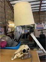 Lamp Skull