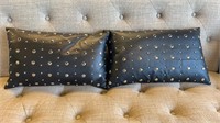 2 Leather Accent Pillows
