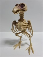 Plastic crow skeleton