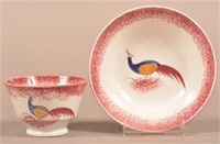 Red Spatter Peafowl Pattern China Child's Cup & Sa