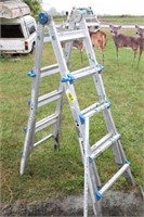 Cosco Adjustable Ladder