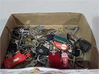 A good number of old keys and keychains