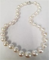 18.5" Cultured South Sea Pearl necklace