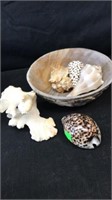 Seashells with bowl