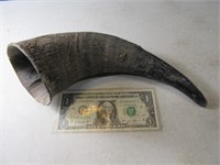 Vintage 11" Black Animal Horn