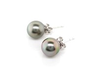 Tahitian pearl and 14ct white gold stud earrings