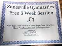 Zanesville Gymnastics 8 Week Session