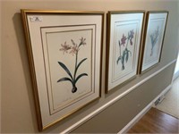 Three Large Botanical Prints