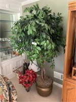 Large Silk Tree and Miscellaneous
