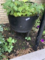 Cast Iron Planter Kettle, Stand