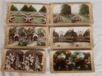 6  Stereoview cards from early 1900s