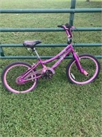 Purple Kids Bike