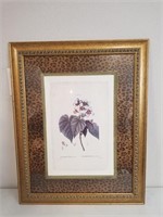 "Botanicles Sparmannia" Gold Framed Print