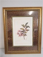 "Botanicle Azalea Rose"  Gold Framed Print