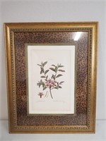 " Botanicle Azalea Rose" Gold Framed Print