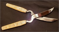 Regent Poultry Shears Made in Italy Hot Dropped