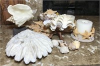 Selection of Shells and Coral & More