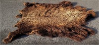 Large Taxidermy Montana Buffalo Hide Robe Rug