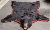 Very Large Montana Taxidermy Black Bear Rug