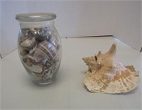 Glass Jar w Seashell and Conch Shell