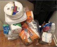 Paper Towels, Napkins, Disposable Plates and Cups