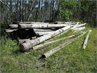 Telephone Poles, Approx 30, Up to 30' in Length