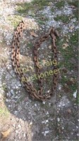 12' Log Chain