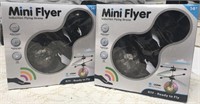 Pair of Mini Flyers