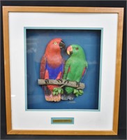 "Nature Box" 3-D Parrots Picture