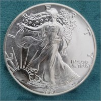 1987 Silver Eagle BU Coin