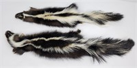 Pair of Montana Taxidermy Tanned Wild Skunks