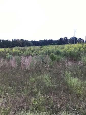 Development Tract Deluxe in Johnston County, NC!