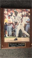 Michael Jordan Chicago White Sox picture as is