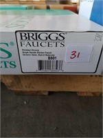 Briggs faucet: polished chrome