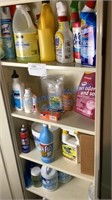 CLEANING SUPPLIES INSIDE OF CABINET