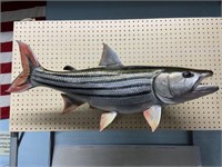 Lg. Mounted Fish Trophy with Teeth, 36" Wide.