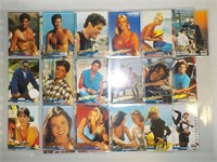 Lot of 41 Baywatch cards