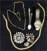Mix earring-brooch-necklace-Packer & Pulsar watch