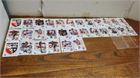 1991 Heros in Hockey Upper Deck Set