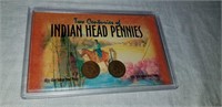 TWO CENTURIES INDIAN HEAD PENNIES