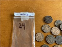 25- Indian Head Pennies