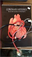 Coronary Arteries Book And Stethoscopes
