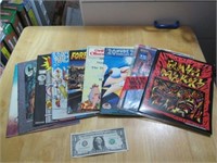 Lot of Oversized Independent Comics 1980s-90s